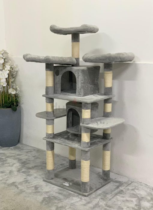 Cat House