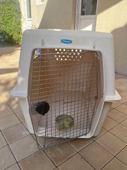 Dogs carriers for air travel