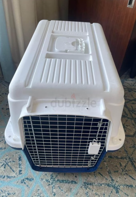 Dogs carriers for air travel