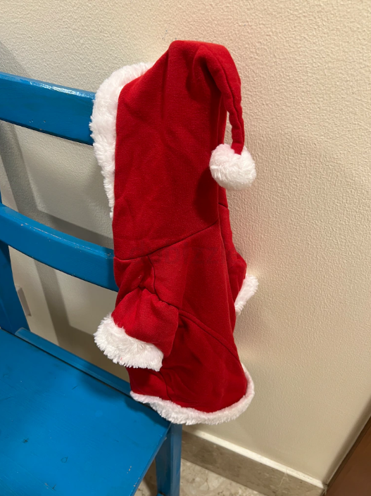 Christmas Outfit For Small Dog