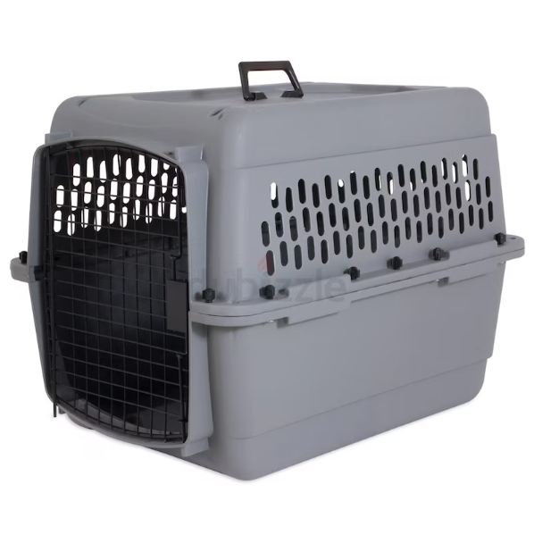 This is going to be the best choice for you pet.