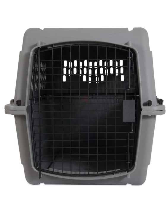 This is going to be the best choice for you pet.