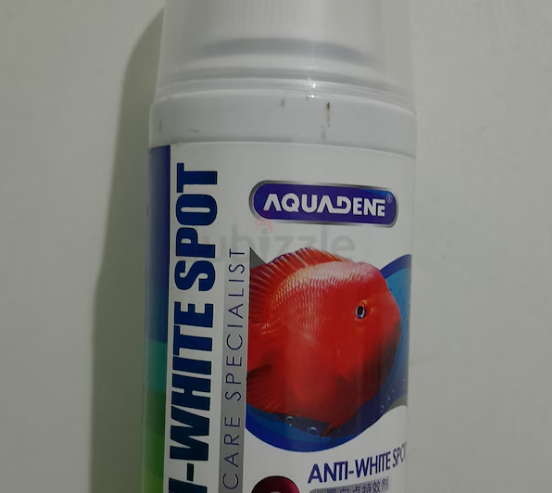 Aquarium Anti white spot