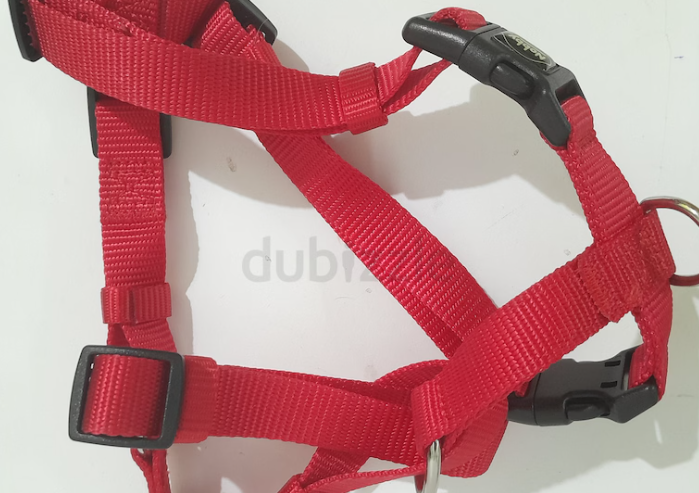 Dog Harness small