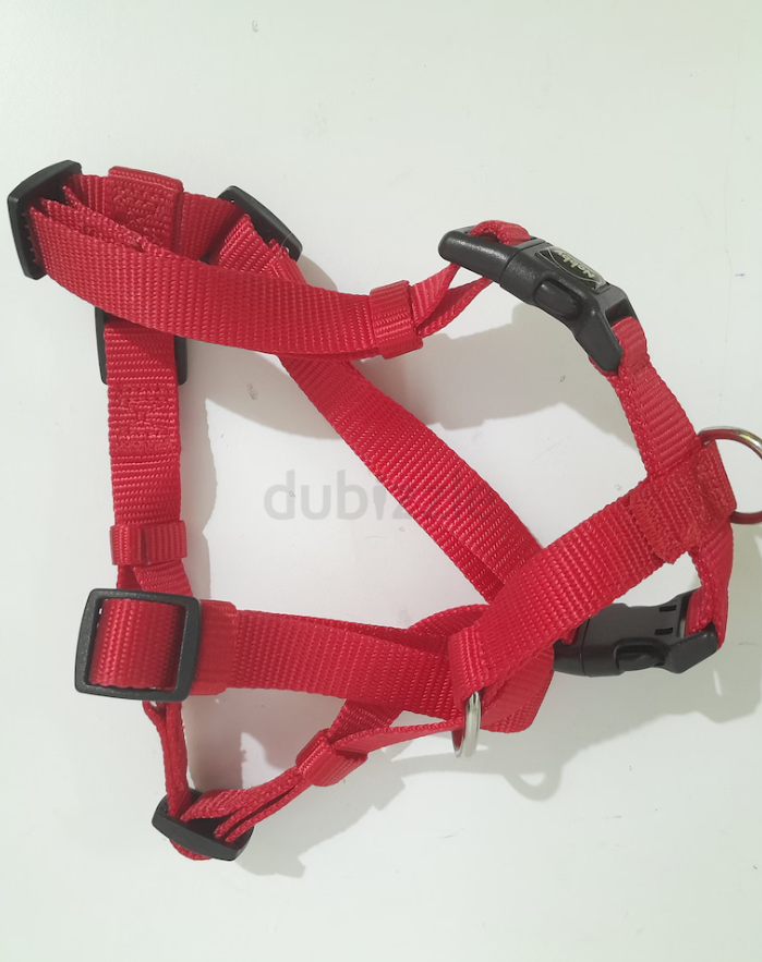 Dog Harness small