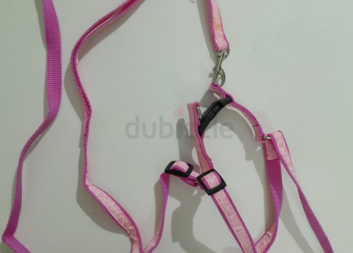 Dog Harness for small dogs