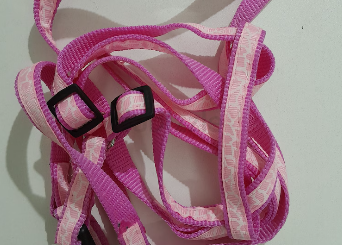 Dog Harness for small dogs