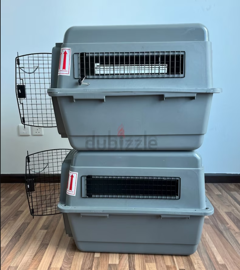 Cats and dogs carriers for air travel