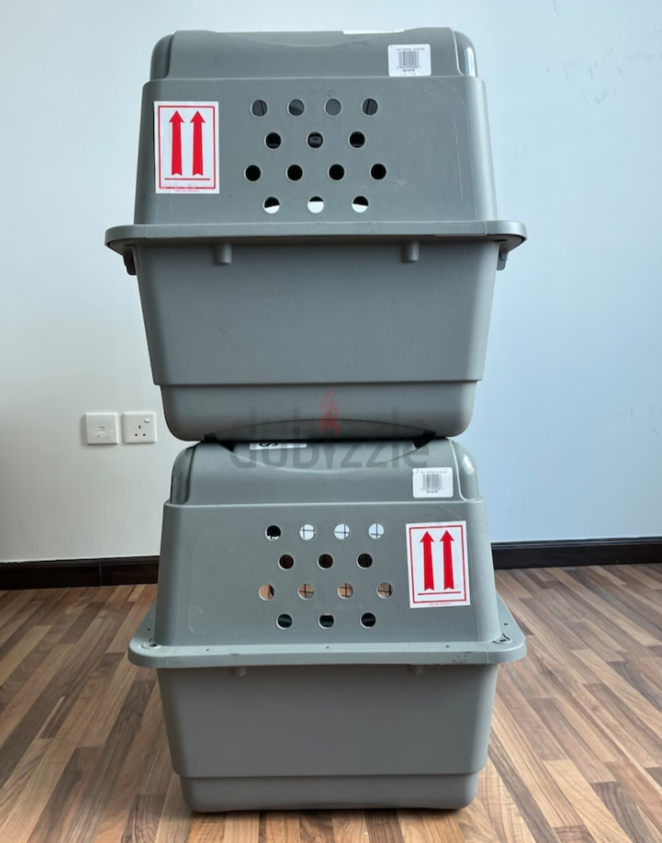 Cats and dogs carriers for air travel