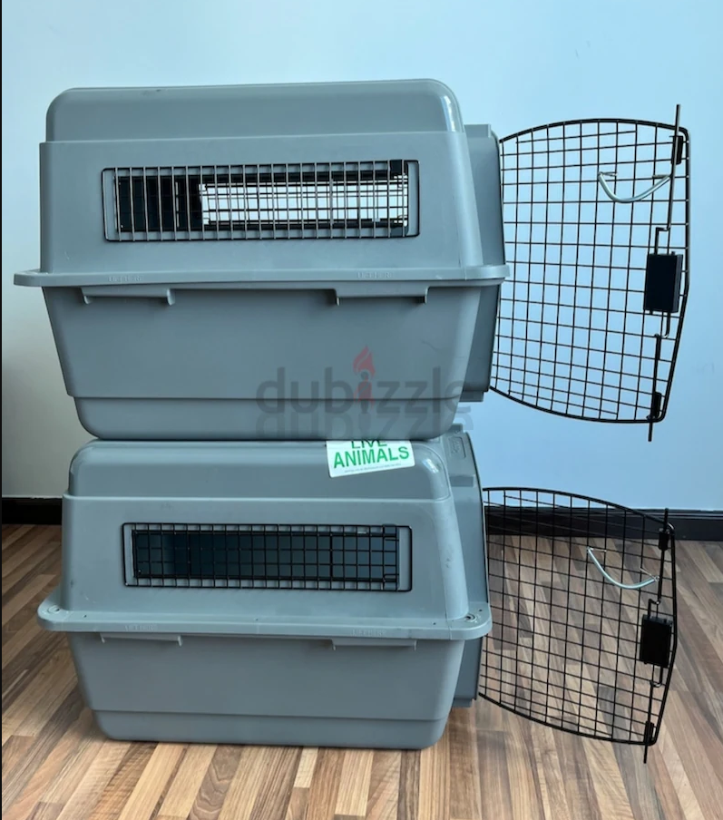 Cats and dogs carriers for air travel