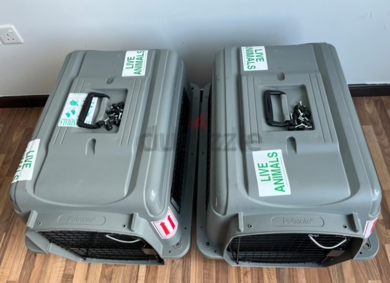 Cats and dogs carriers for air travel