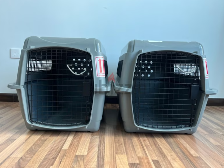 Cats and dogs carriers for air travel