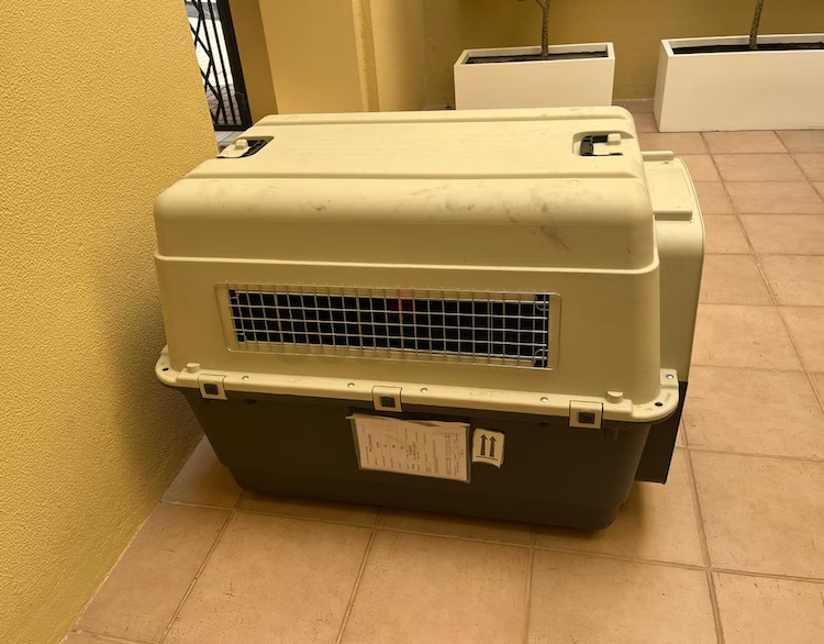 Dog crate IATA approved