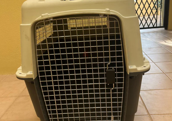 Dog crate IATA approved