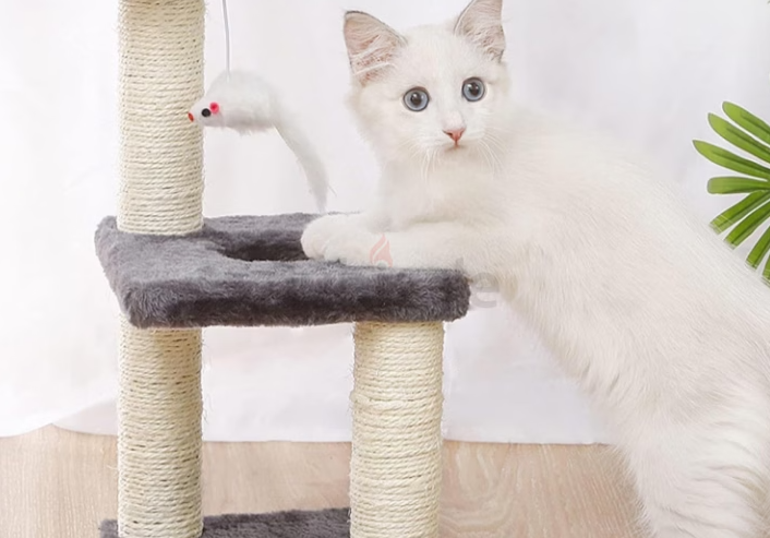 Cat Tree for Small Cat Free Delivery