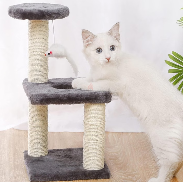 Cat Tree for Small Cat Free Delivery