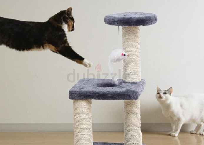 Cat Tree for Small Cat Free Delivery