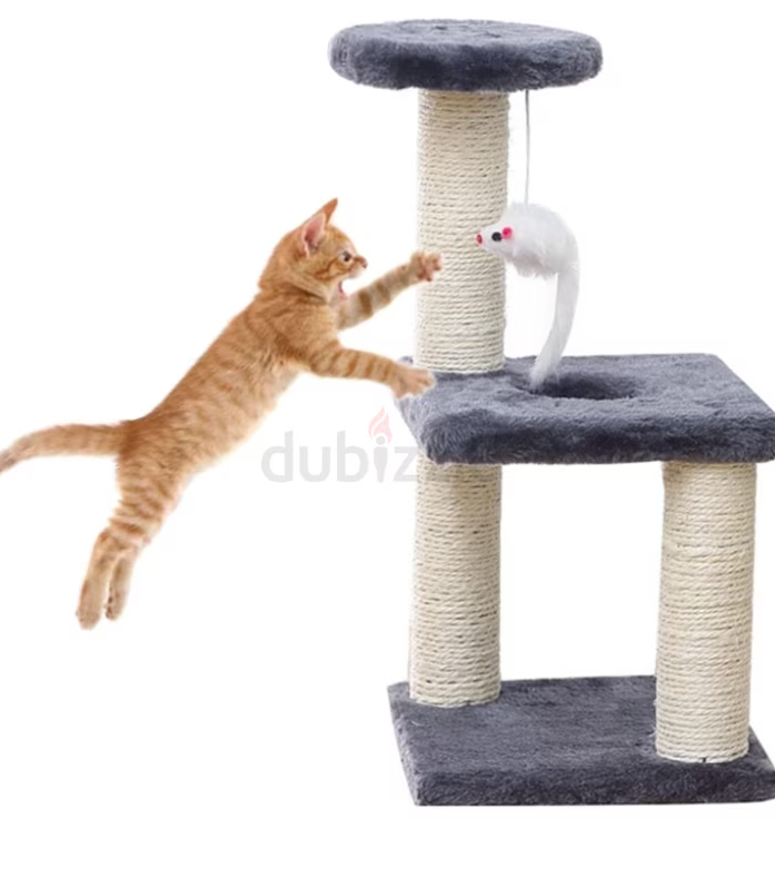 Cat Tree for Small Cat Free Delivery