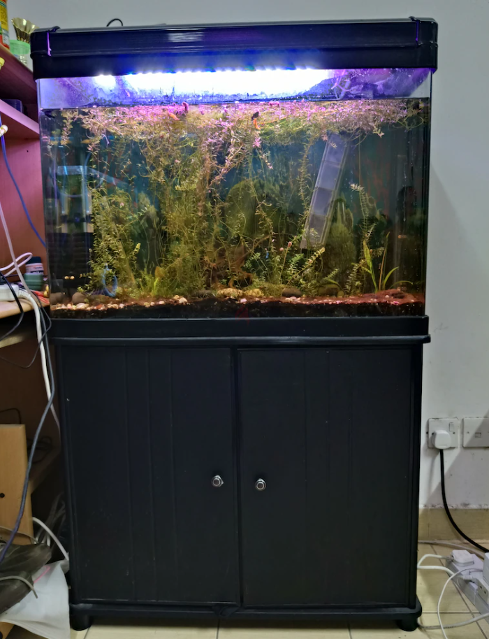 Aquarium