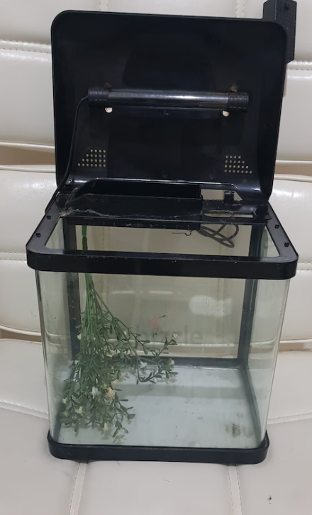 Small Aquarium with Light