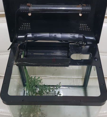 Small Aquarium with Light