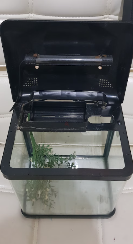Small Aquarium with Light