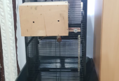 Pet Carrier Cage