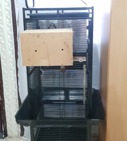 Pet Carrier Cage