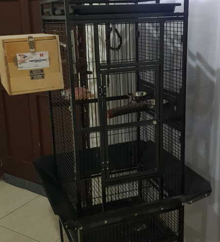 Pet Carrier Cage