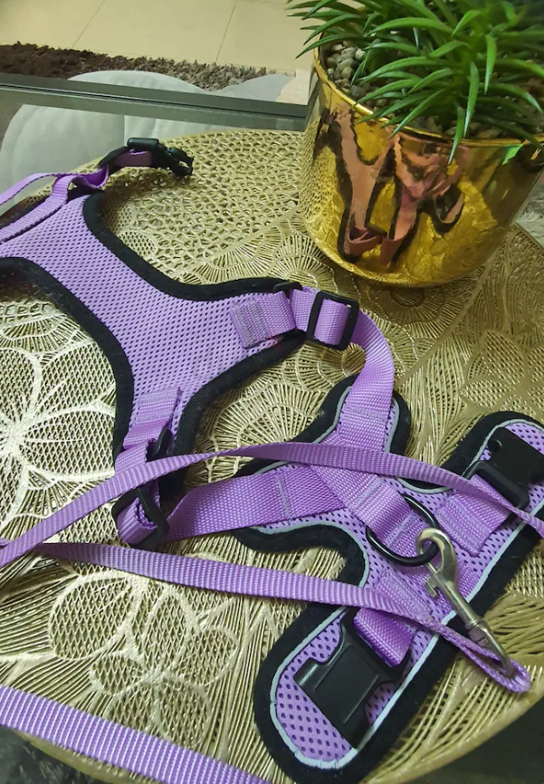 Cat and Dog leash