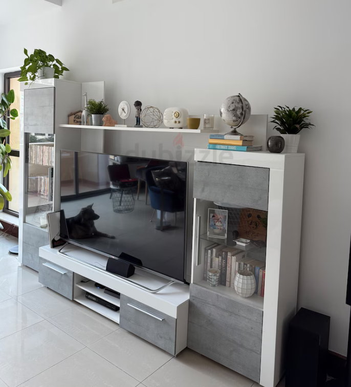 Tv unit