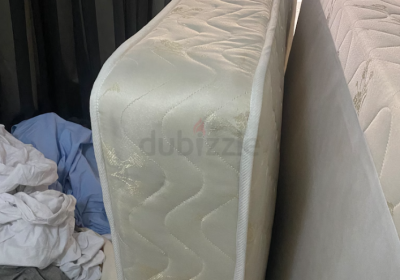 Screenshot-2025-02-06-134751