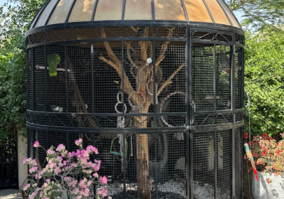 Screenshot-2025-02-06-150216