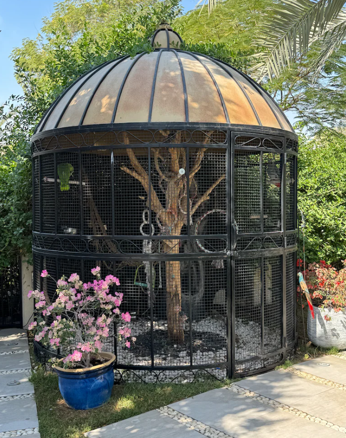 Huge bird cage