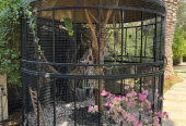 Huge bird cage