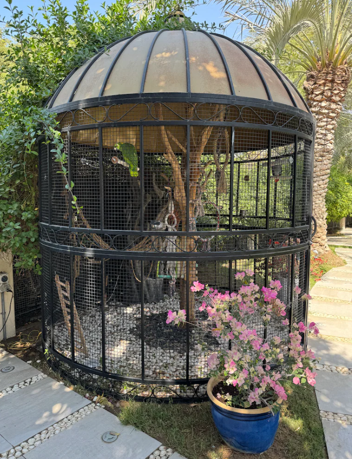 Huge bird cage