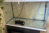 Fish Tank for sale