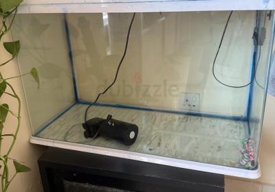 Screenshot-2025-02-06-150419