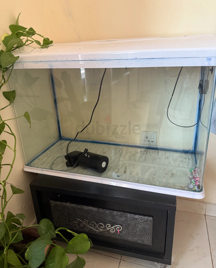 Fish Tank for sale
