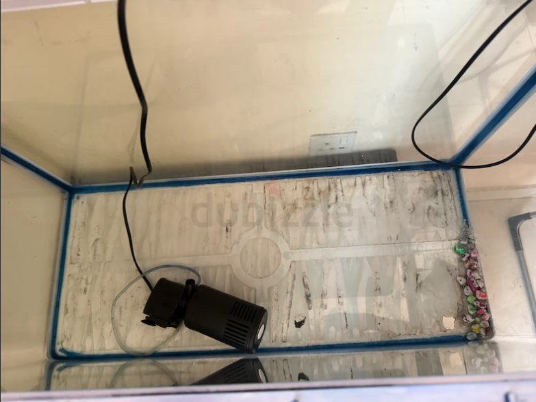 Fish Tank for sale