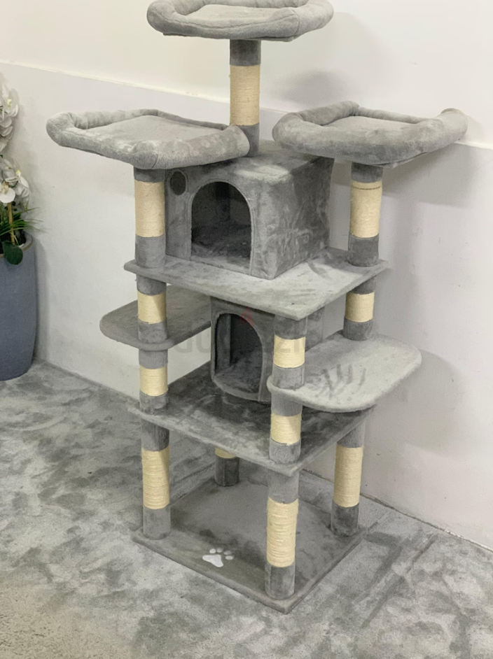 Cat House