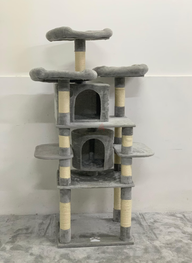 Cat House
