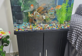 Fish Tank/Aquarium with cabinet and all accessories
