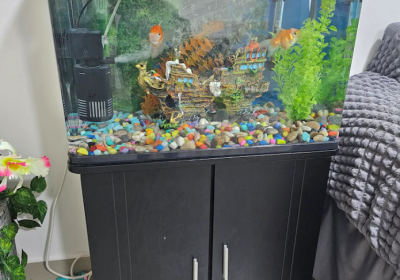 Screenshot-2025-02-06-150907