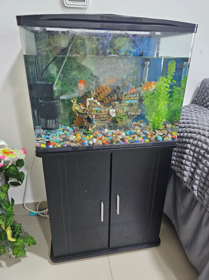 Fish Tank/Aquarium with cabinet and all accessories