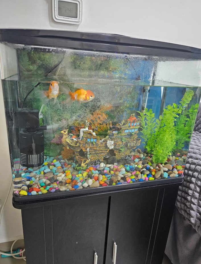 Fish Tank/Aquarium with cabinet and all accessories