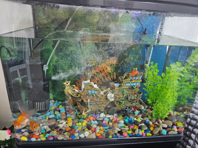 Fish Tank/Aquarium with cabinet and all accessories