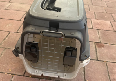 Screenshot-2025-02-06-151201