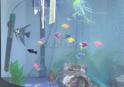 Screenshot-2025-02-06-151306