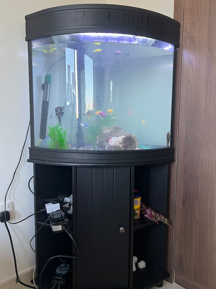 Corner Aquarium Complete set with fishes